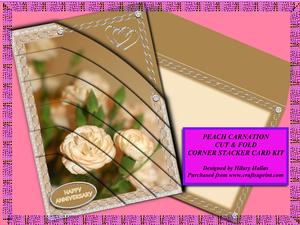 Peach Carnation Cut & Fold Corner Stacker Card Kit