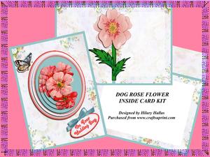 Dog Rose Flower Inside Card Kit
