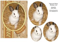 Supercute Bunny Birthday Card