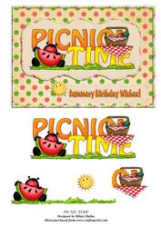 Picnic Time