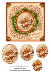Vintage Robins in the Snow
