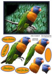 The Parrot