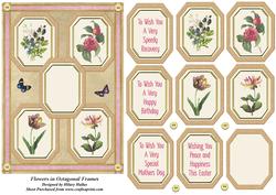Flowers in Octagonal Frames