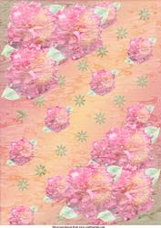 Pink Camelia Background
