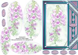 Foxglove