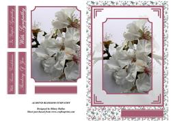Almond Blossom Sympathy