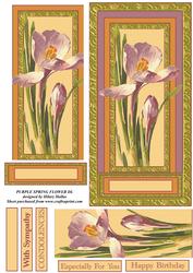 Purple Spring Flower Dl