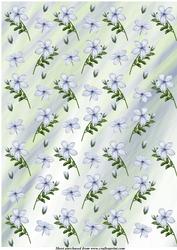 Blue Jasmine Background 1