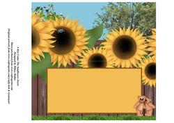 A Kiss Under the Sunflowers Insert