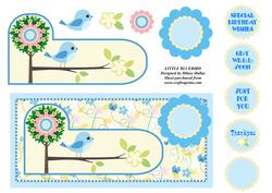Little Bluebird