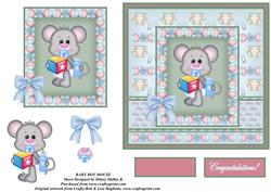 Baby Boy Mouse