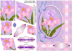 Pink & Mauve Iris