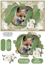 Cute Little Fox