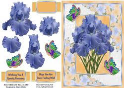 Blue Iris Get Well Card