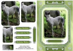 The Little Pony