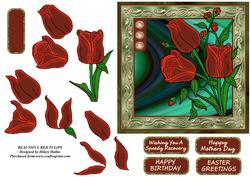 Beautiful Red Tulips