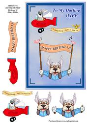 Skydiving Birthday Wish