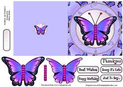 Purple Butterfly