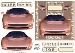 Copper Coloured Jaguar