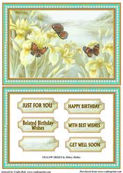 Yellow Irises