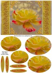 Pink Tipped Yellow Rose