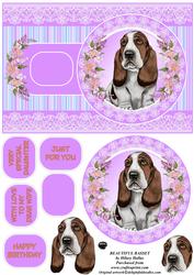 Beautiful Basset