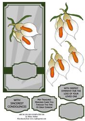 Arum Lillies Sympathy Dl