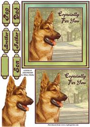 German Shepherd