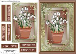 A Pot of Snowdrops