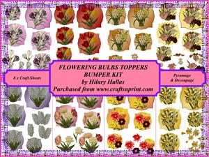 Flowering Bulbs Toppers Bumper Kit