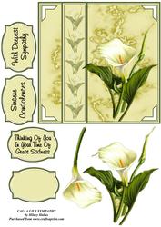Calla Lily Sympathy
