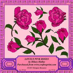 Lovely Pink Roses