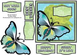 Big Butterfly