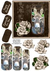 Grey Donkey