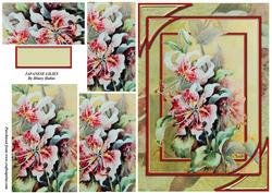 Japanese Lilies