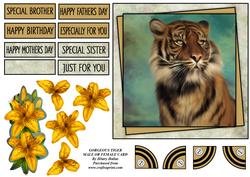 Gorgeous Tiger Male or Female Card