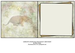 Gorgeous Tiger Male or Female Card Insert