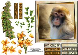 Gorgeous Monkey Male or Female Card