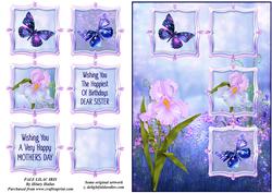 Pale Lilac Iris