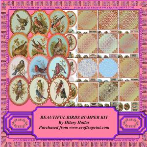 Beautiful Birds Bumper Kit