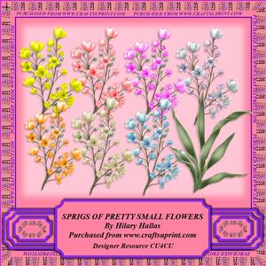 Sprigs of Pretty Small Flowers