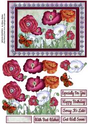 Mixed Poppies