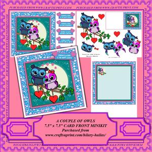 Couple of Owls 7.5" x 7.5" Card Front Minikit