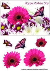 Gerbera & Butterflies