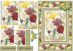 Carnations