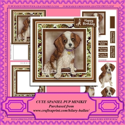 Cute Spaniel Pup Minikit