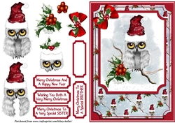 Snowy Christmas Owl