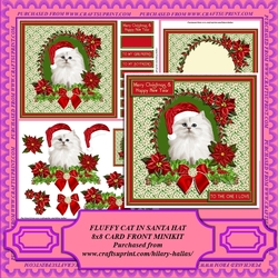 Fluffy Cat In Santa Hat Minikit