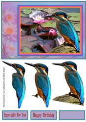 Kingfisher & Waterlillies