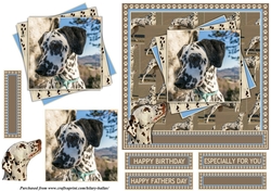 Dalmations